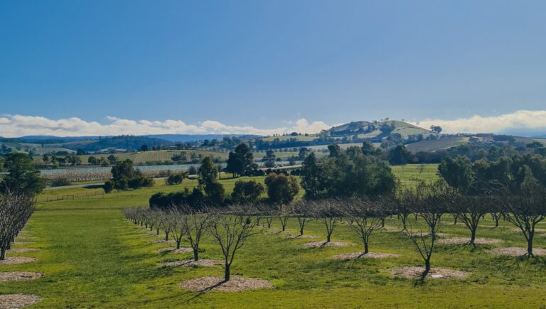 Yarra Valley